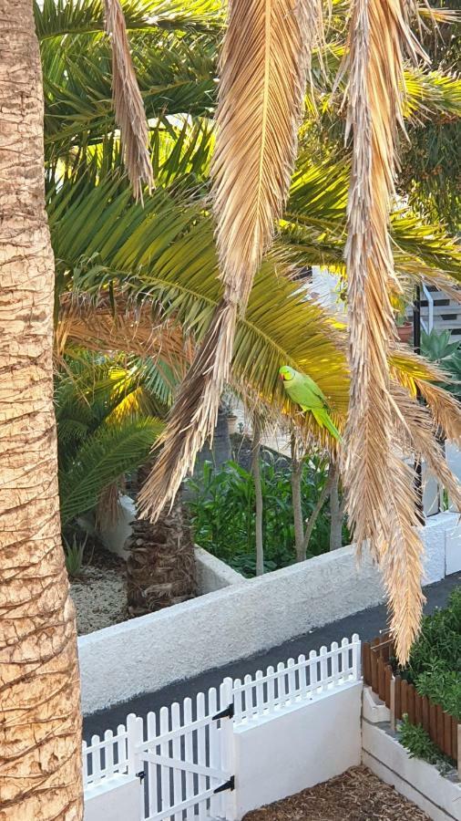 Studio With Garden Arona (Tenerife) Exterior foto